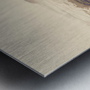 Remote coastal route Metal print