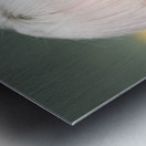 Pencil Biter Metal print