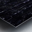 Night thicket  Metal print