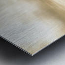 Turn Loose The Doves Metal print