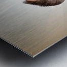 Business man drinking a quick coffee on the go Metal print