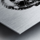 To plant a seed Metal print