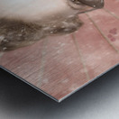 Scene from dreams Metal print