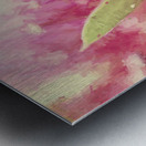 Bottle Brush flower species digital painting Metal print