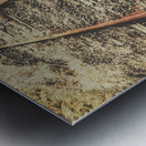 Western railway of routes forgotten Metal print