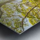 Wondersome Metal print