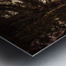 Beautiful autumn tree landscape in a serene park Metal print