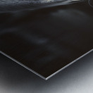 The midnight stallion Metal print