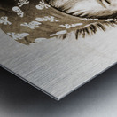 Vintage Explorer Metal print