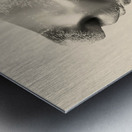 At lass  Metal print