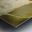 Wooded wildlife Metal print