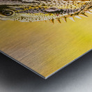 A predators portrait Metal print