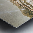 Bicheno foreshore Metal print