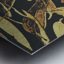 Sepia toned image of floating eucalyptus leaves Metal print