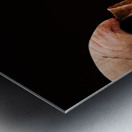 Scary Skull Metal print