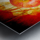 Apple barn artwork Metal print