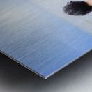 Sunset Surf Metal print