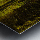 Tarkine Tasmania Trails Metal print