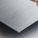 Rocky water wilderness Metal print