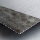 Vintage cricket Metal print