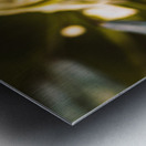 Vintage Agapanthus flower Metal print