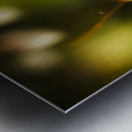 Fauna And Flora Meet Metal print