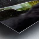 Mysterious jester found wonderland in a reflection Metal print