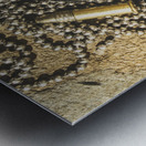 Reflections of battle Metal print