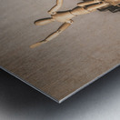 Before there was image stabilisation Metal print