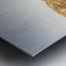 Treepanning Metal print