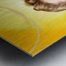 Gossiping retro pin up girl on fruit phone Metal print