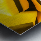 Sugar cubes Metal print