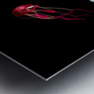 In colours of swirling jellyfishes  Metal print