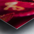 Wildlife wilderness Metal print