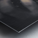 The mystery writer Metal print