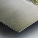 Mountain streams Metal print