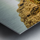 An alpine morning Metal print