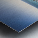 Windswept Tasmania Metal print