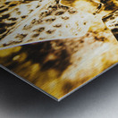 Legion of history Metal print