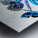 Blue buggery  Metal print