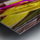 Color In Verse Metal print