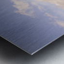 Western wilds Metal print