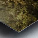 Montezuma Falls Tasmania Metal print