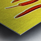 Hotlucination  Metal print