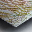 Exotic pop Metal print