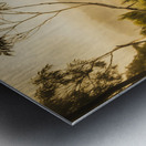 Land before time Metal print