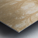 Misty woods Metal print