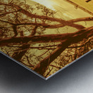 Autumn vista Metal print