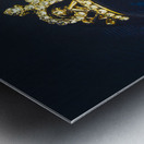 Rings of nobility Metal print