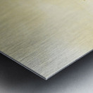 Wayback Beacon Metal print